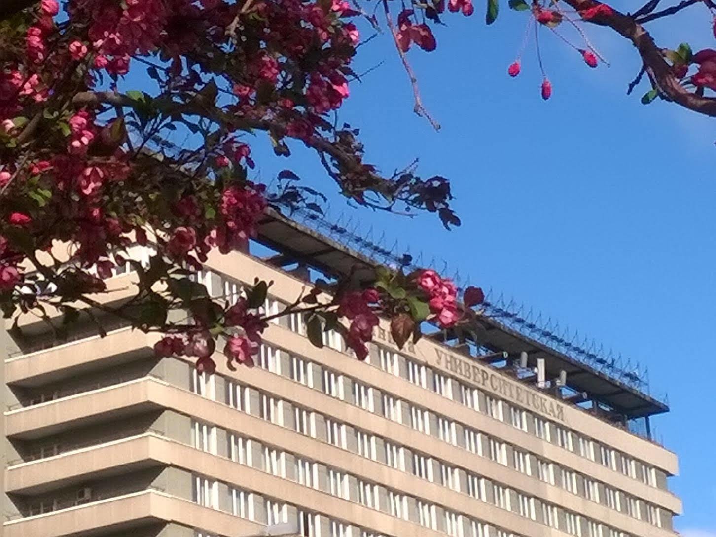 Universitetskaya Hotel Moscovo Exterior foto